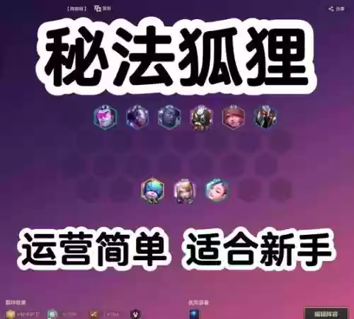 流年狐狸阵容插图