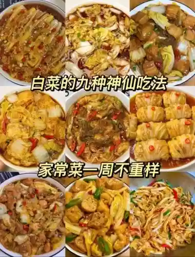 白菜阵容插图1 白菜阵容插图1