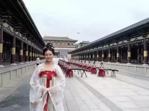 唐城阵容插图1
