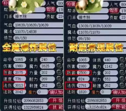 梦幻西游魔力和法伤插图1