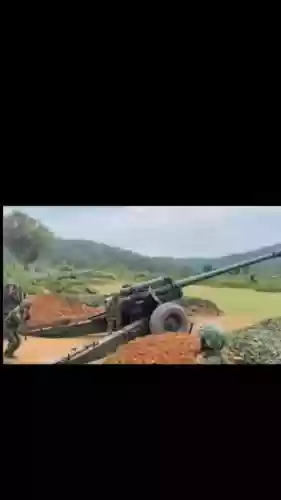 越南的火炮装备