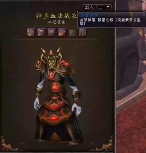 血法师装备皮甲插图1