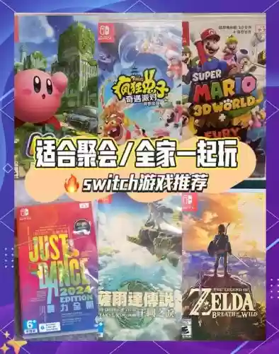 swich游戏阵容插图