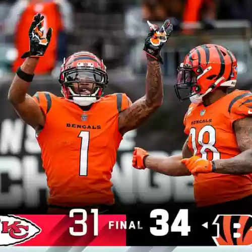 nfl猛虎阵容插图