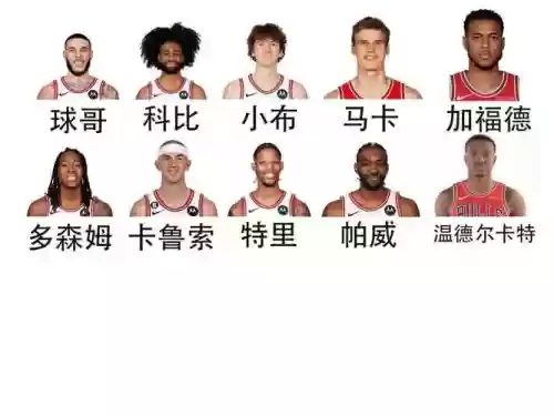 没头阵容插图1