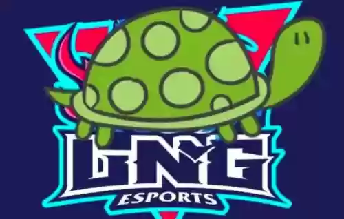 lng乌龟阵容插图1