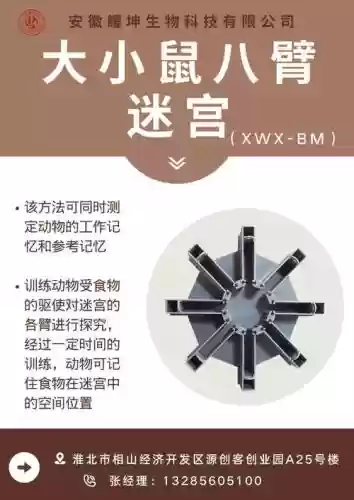 脑点子攻略169插图1
