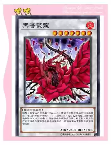 蔷薇龙阵容插图1