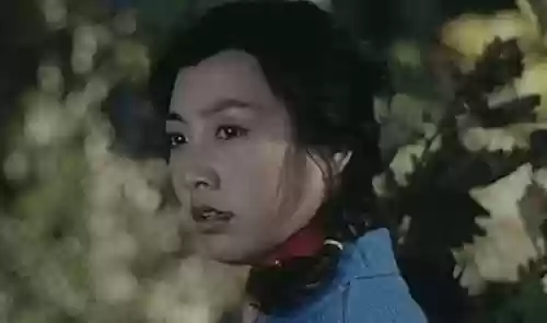 赵英阵容插图1