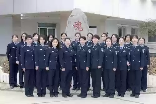 老师女警阵容插图