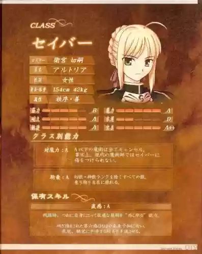 fate从者技能插图1