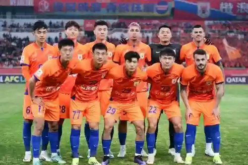 去年鲁能阵容插图1