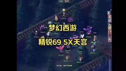 梦幻西游69天地视频