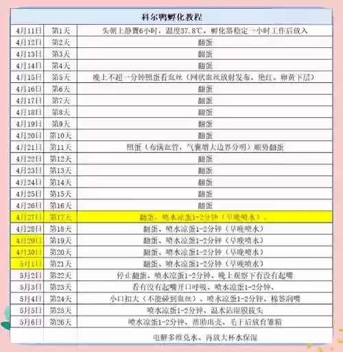 能源孵化场攻略插图1