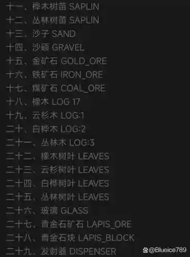我的世界装备英文名字插图1