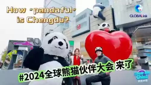 超级熊猫阵容插图