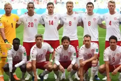 卡塔尔丹麦阵容插图 卡塔尔丹麦阵容插图