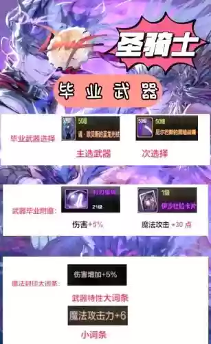 地下城圣骑士用什么装备和武器插图