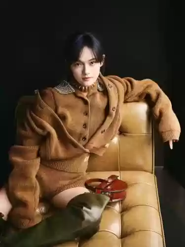 文琪阵容插图1