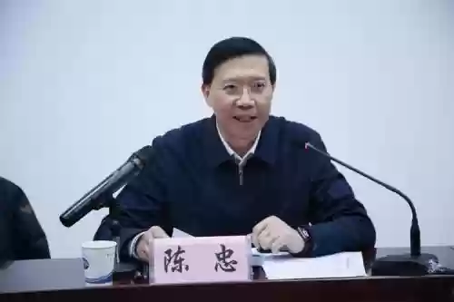 陈忠阵容插图1
