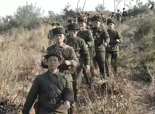 朝鲜木排阵容插图 朝鲜木排阵容插图