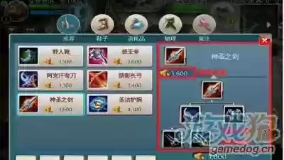 混沌与秩序战士装备攻略插图
