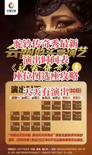 驼铃传奇阵容_1插图