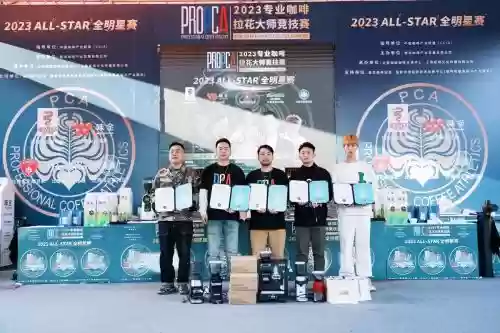 pcag最强阵容插图