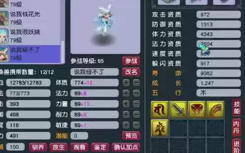 梦幻西游79宝宝选择插图1