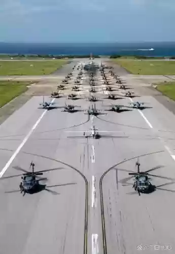 美军大象漫步阵容搭配_1插图 美军大象漫步阵容搭配_1插图