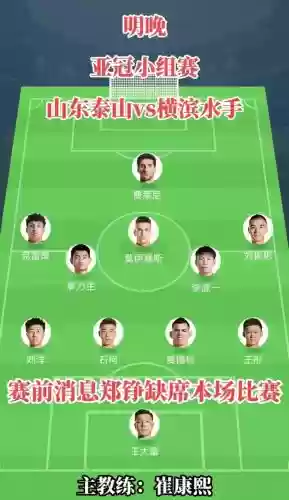 352鲁能阵容插图