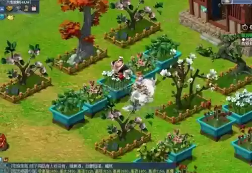 梦幻西游庭院花圃哪个好插图