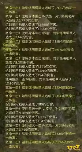 永恒之塔稻草人技能书插图