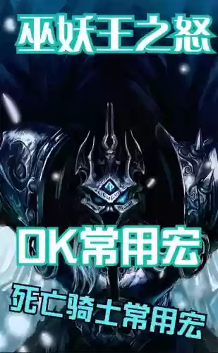 骑士技能好了就用宏插图1