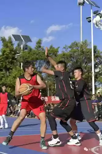 巍山篮球阵容插图