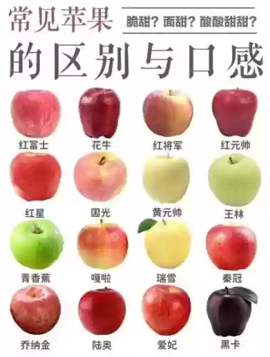 苹果家族阵容插图