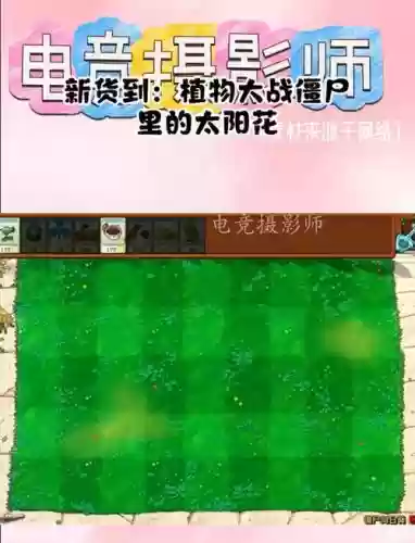 格子rpg太阳花技能插图