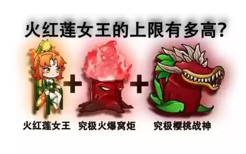 红莲阵容大全插图