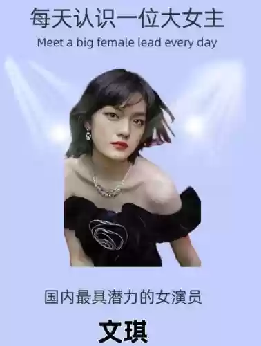 文琪阵容插图