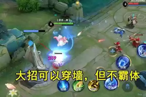肉梦琪带什么技能