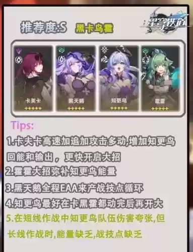 鸟姐阵容搭配插图1