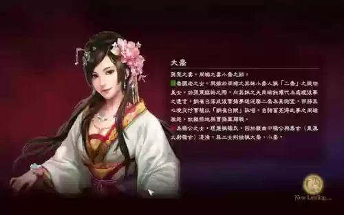 三国志13pk攻略大乔插图