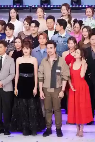 tvb混血阵容插图1