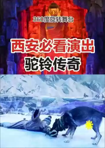驼铃传奇阵容_1插图1
