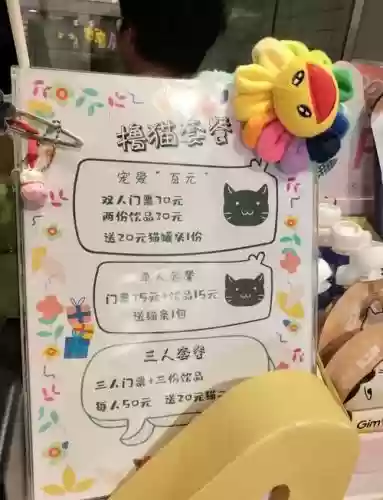 猫咖啡店喜好攻略插图1