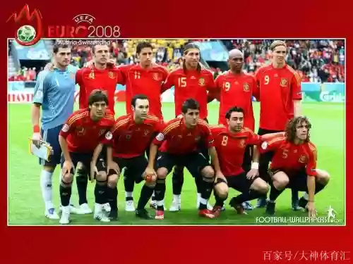 2008西班牙阵容
