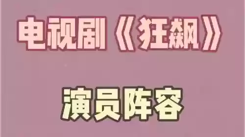 模仿狂飙阵容插图