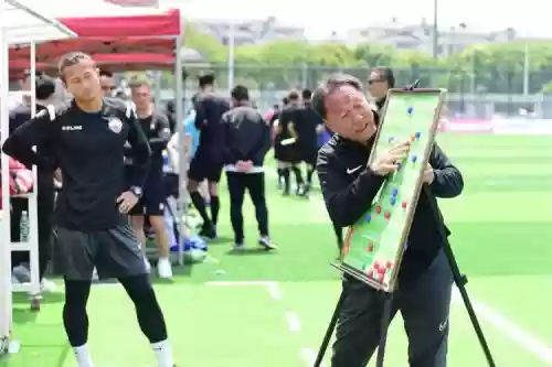 沈祥福361阵容