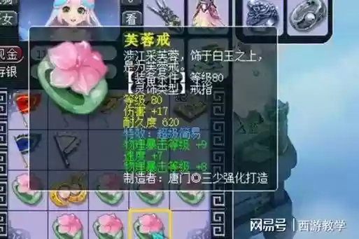 梦幻西游全敏df灵饰插图
