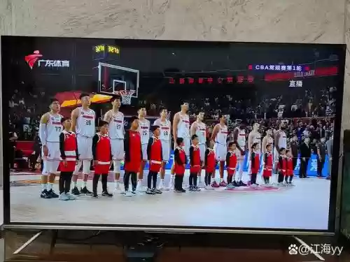广东东阵容插图1